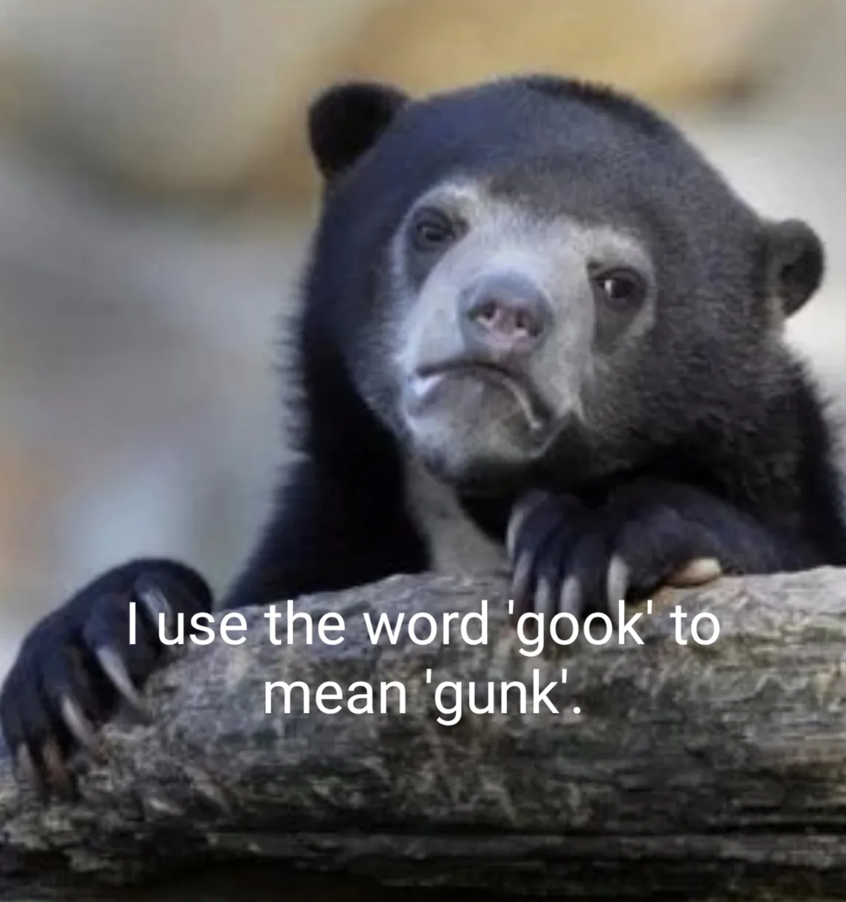 A close-up photo of a sloth bear with a sad, resigned expression, resting its paws on a log. White text overlaid on the…