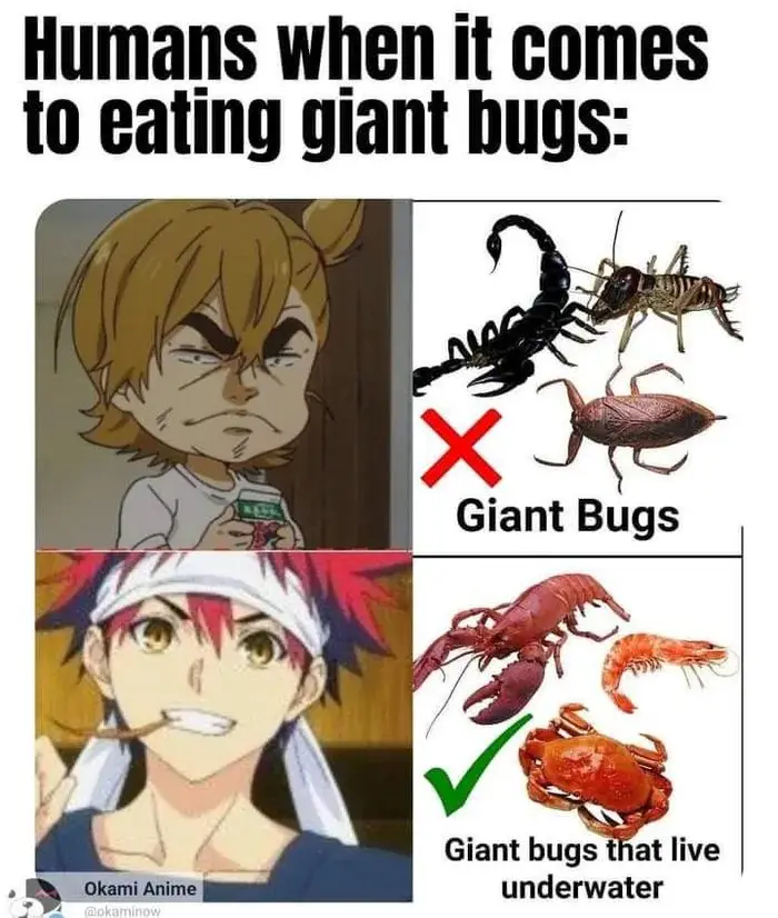 The image is a two-panel meme featuring anime characters. The top panel shows a disgusted-looking boy with a red 'X' next to…