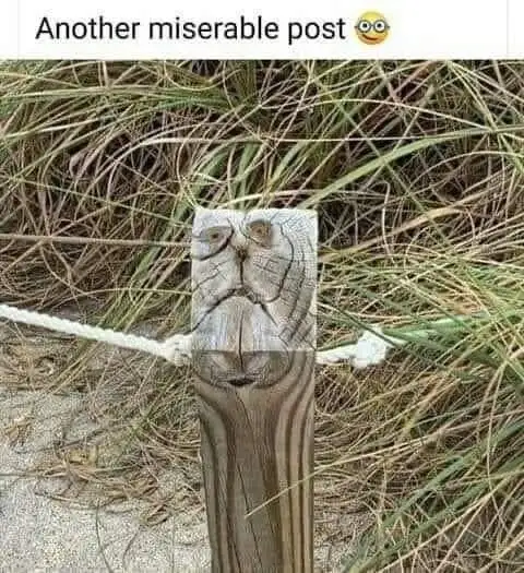A weathered wooden post in sandy terrain with tall grass around it, featuring a natural wood grain pattern that resembles a…