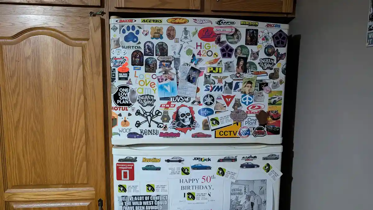 A Showcase of Unique Fridge Collections