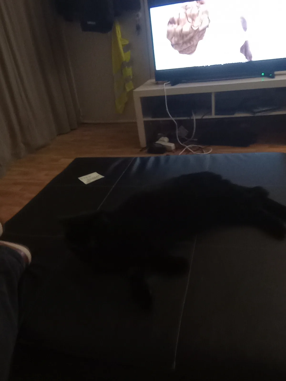 A black cat is lying stretched out on a dark couch in a dimly lit living room, with a TV in the background displaying a…