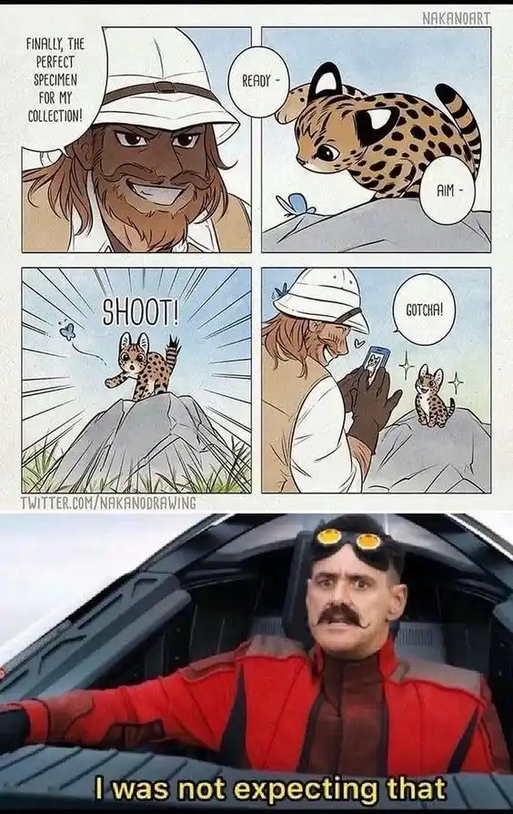 A four-panel comic shows a hunter with a safari hat excitedly preparing to shoot a small spotted cat, but instead of firing…