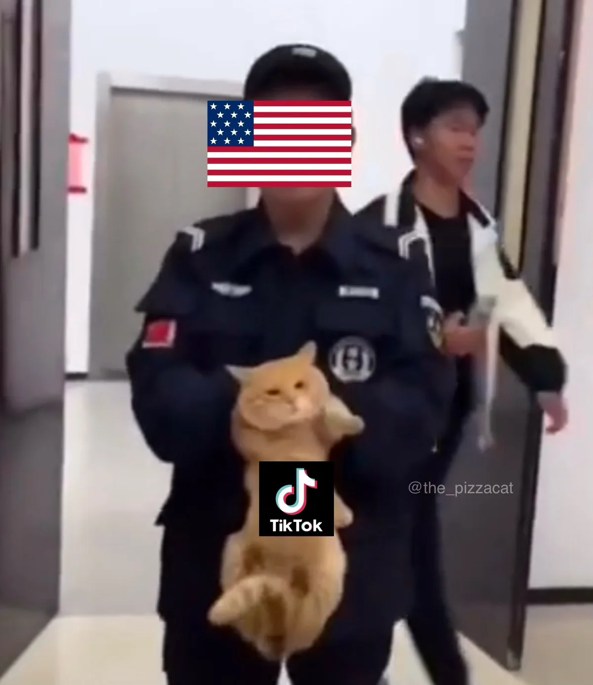 A person in a dark uniform, with an American flag obscuring their face, carries a fluffy orange cat down a hallway. Another…