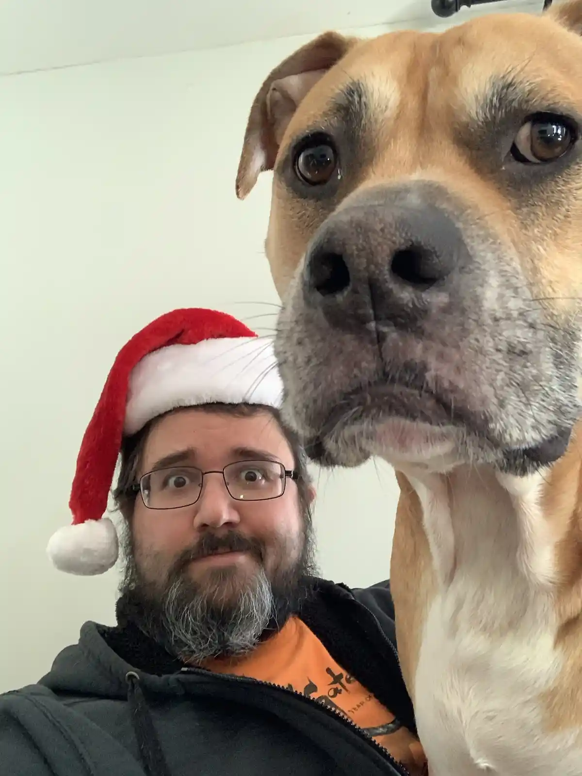 A man with glasses and a beard wearing a red and white Santa hat looks at the camera with wide eyes and a slightly…