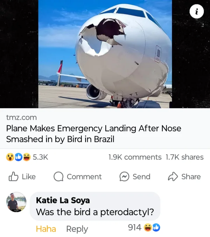 A close-up photo of a commercial airplane's nose cone with a large, jagged hole punched through it, likely from a bird…