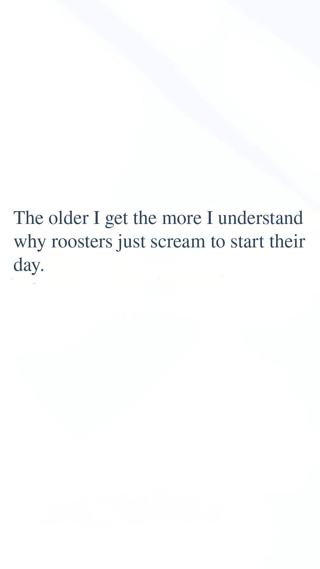 A plain white background with centered dark blue serif text that reads: 'The older I get the more I understand why roosters…