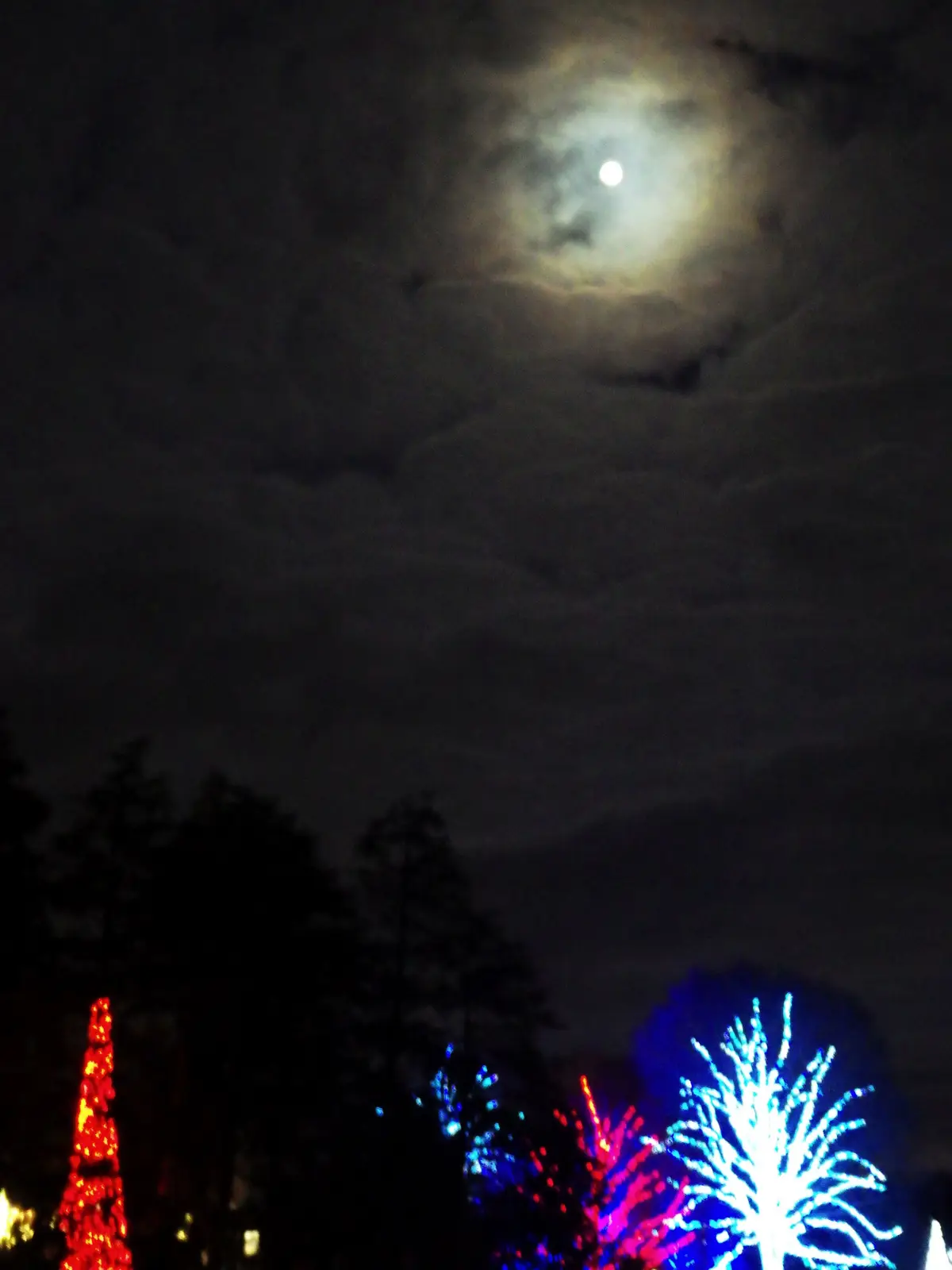 A night sky with a bright moon partially obscured by clouds, above silhouetted trees and brightly lit decorative trees with…