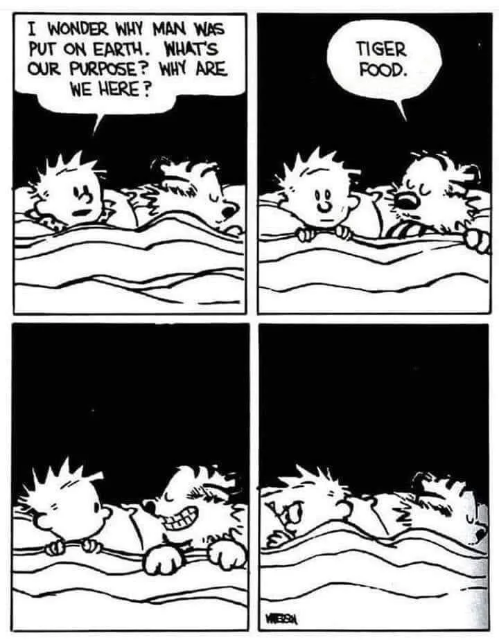A four-panel black-and-white comic strip featuring two cartoon children in bed. In the first panel, the boy asks existential…