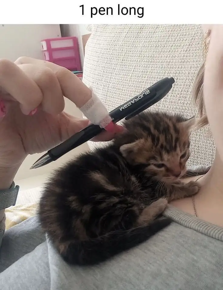 Tiny but mighty