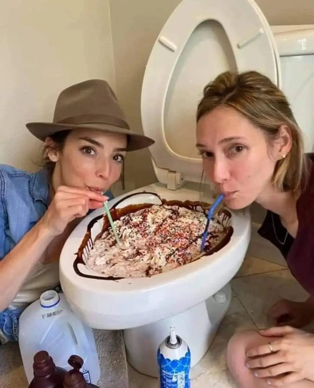 Two women are kneeling on either side of an open toilet bowl that has been filled with a dessert resembling ice cream or…