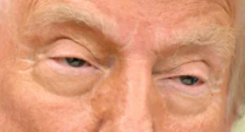 A close-up image of Donald Trump's face, focusing on his eyes and forehead, with the overlaid text 'i'm not a fan of the new…