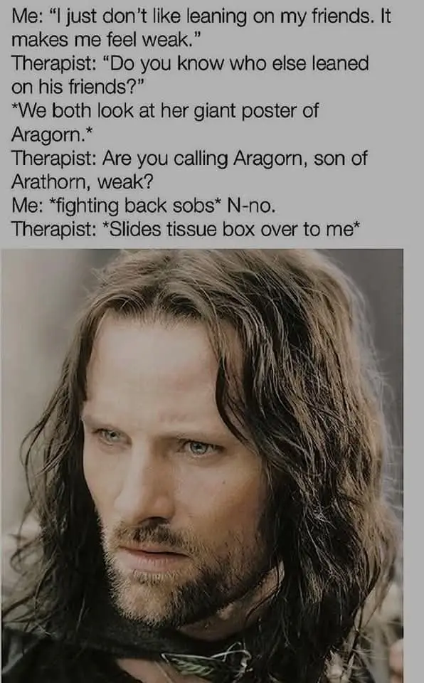 A meme featuring a close-up of Aragorn from 'The Lord of the Rings' looking solemn and intense. The overlaid text depicts a…