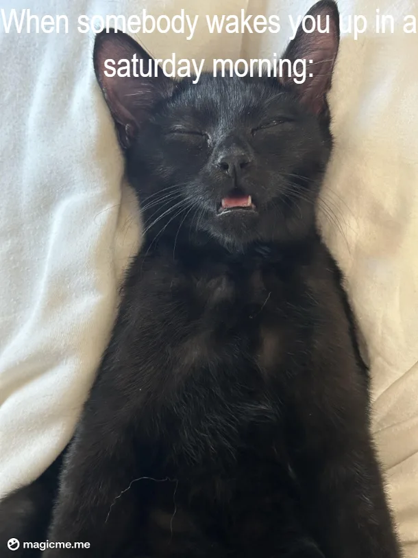 A black cat is lying on its back on a white blanket, eyes closed and mouth slightly open in a relaxed, sleepy expression…