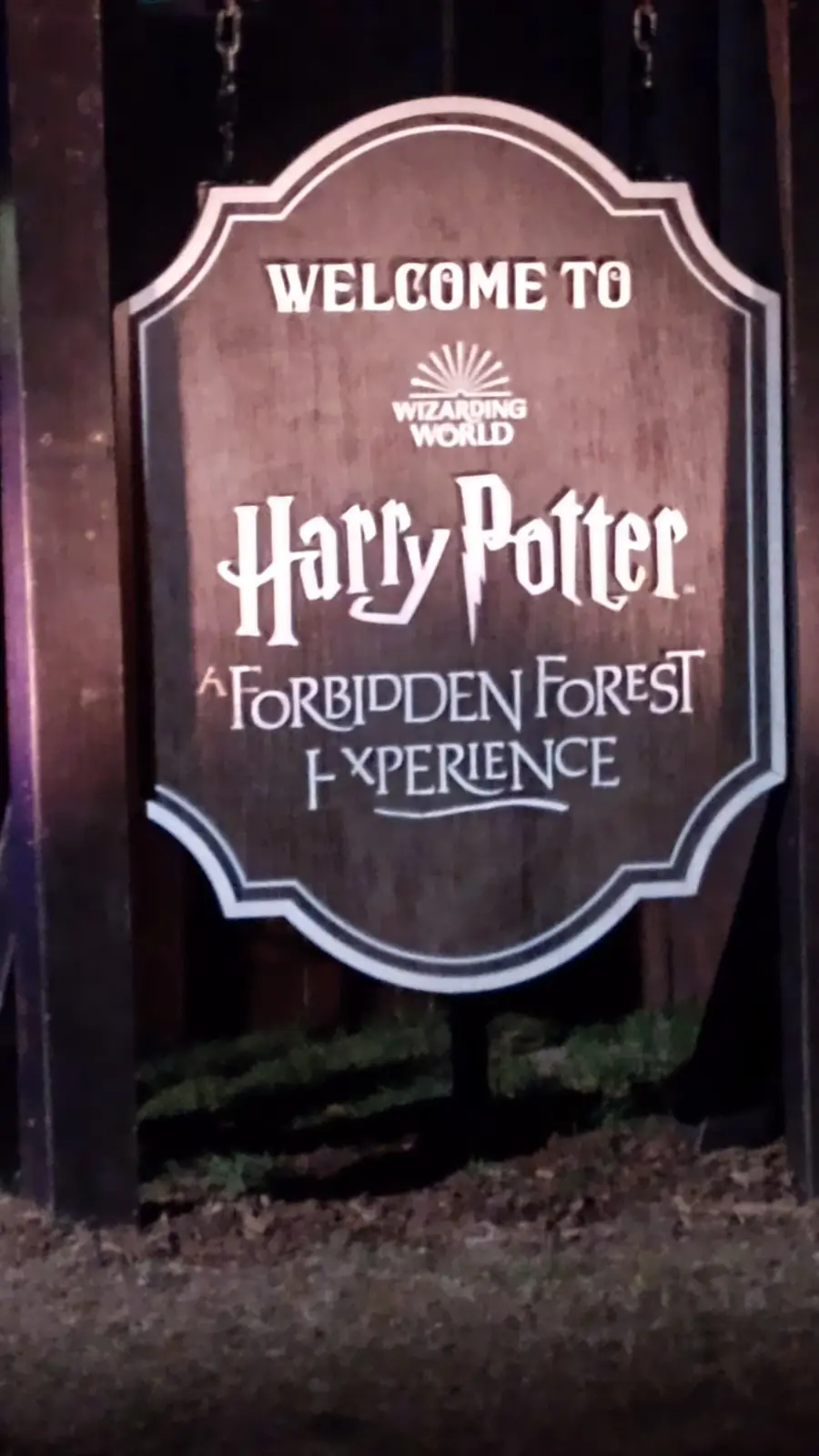 Embark on the Harry Potter Forbidden Forest Adventure