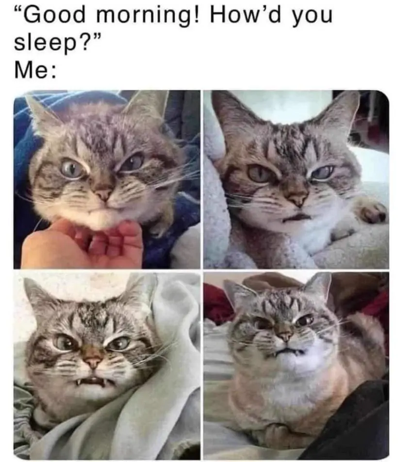 A four-panel meme featuring a tabby cat in various progressively angrier expressions, reacting to the question 'Good…