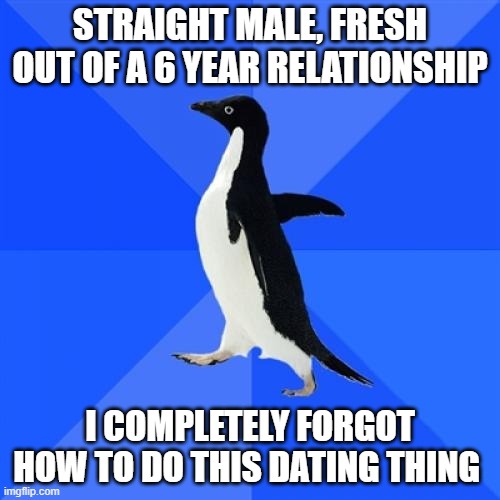 A black-and-white penguin stands against a blue background, looking confused. The text above reads 'STRAIGHT MALE, FRESH OUT…