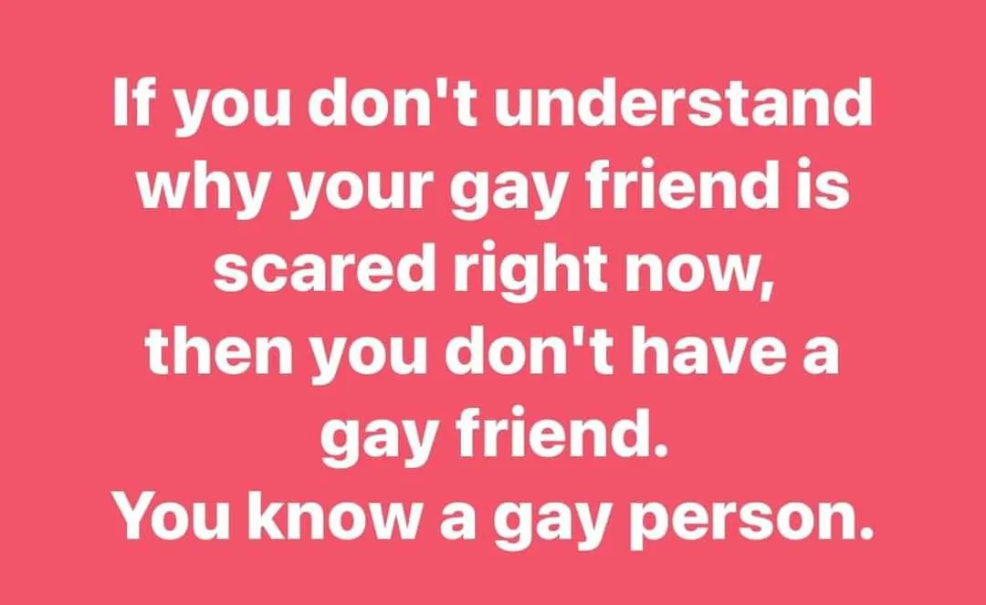 A solid pink background with white text that reads: 'If you don't understand why your gay friend is scared right now, then…