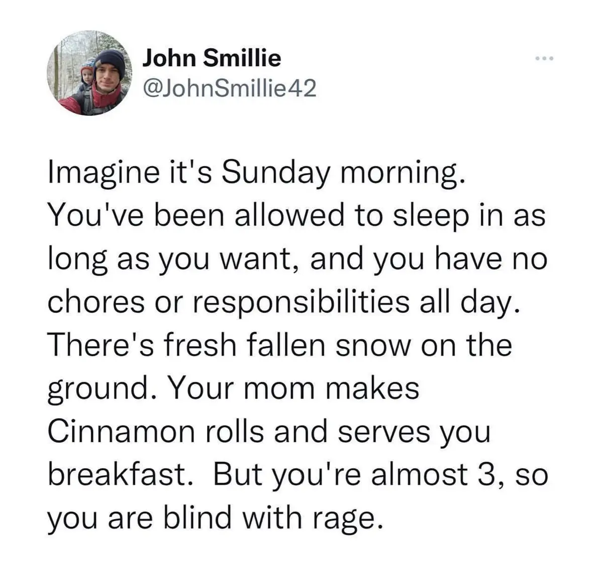 A screenshot of a tweet by John Smillie showing a text block describing an idyllic Sunday morning with snow, no chores, and…