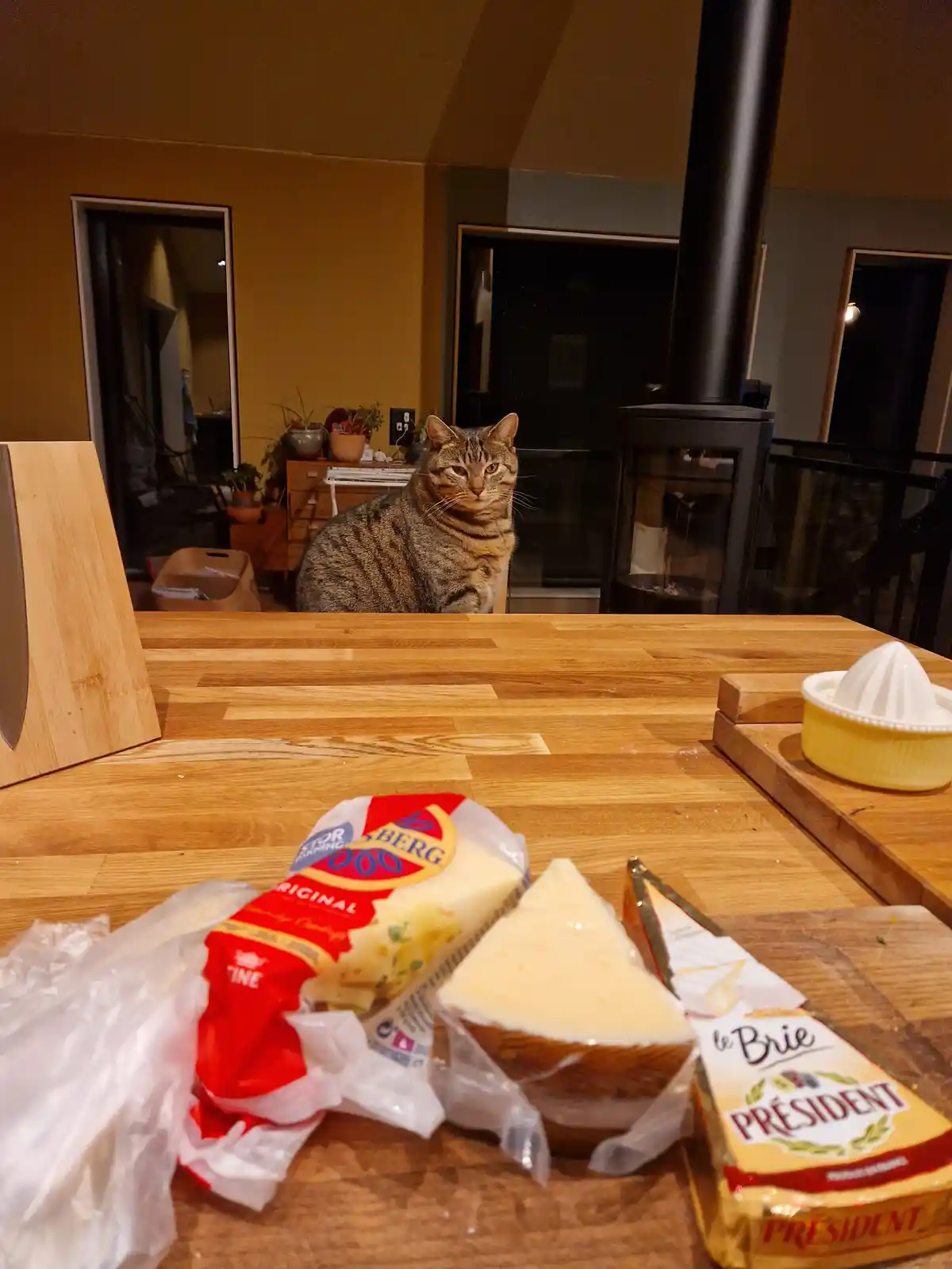 A tabby cat sits on a wooden kitchen counter behind a spread of cheese, including a package of 'le Brie PRÉSIDENT' and a…