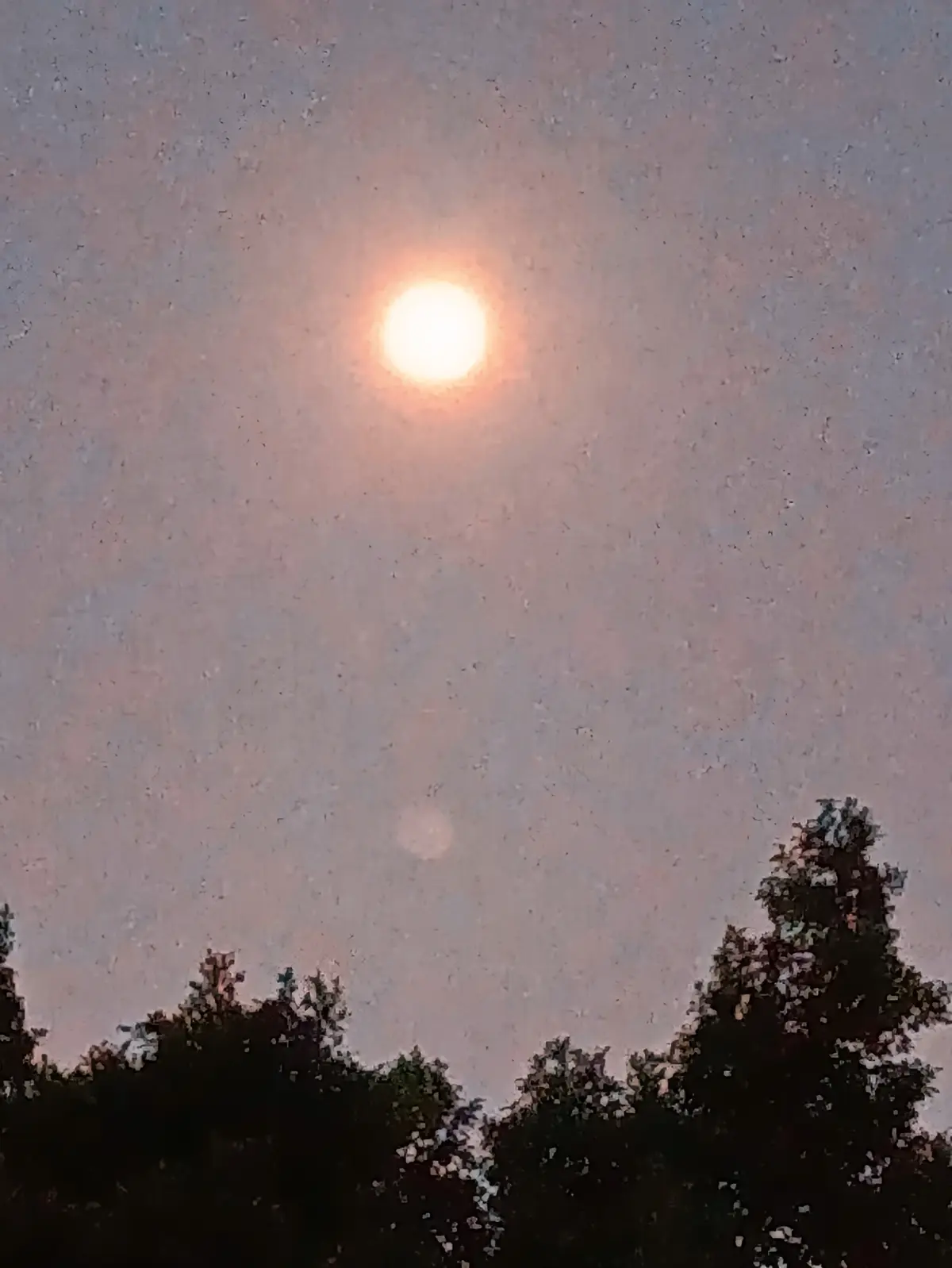 A blurry photo taken through a rain-speckled window shows a bright, hazy sun against a pinkish-gray sky, with dark tree…