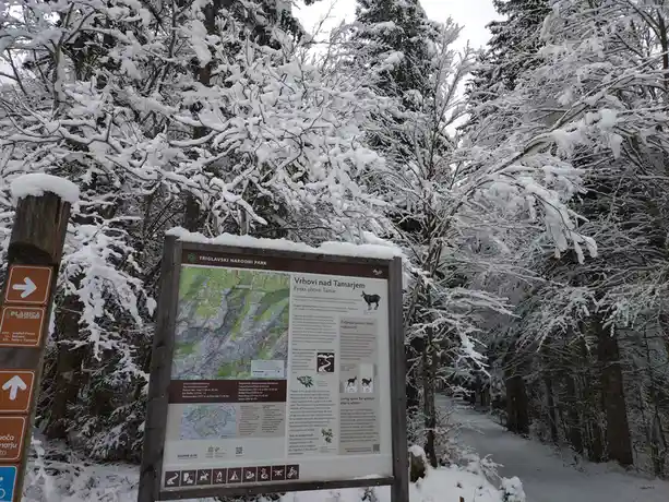 A snowy forest scene features a large wooden trail sign for Triglavski Narodni Park, covered in snow, with a map and text…