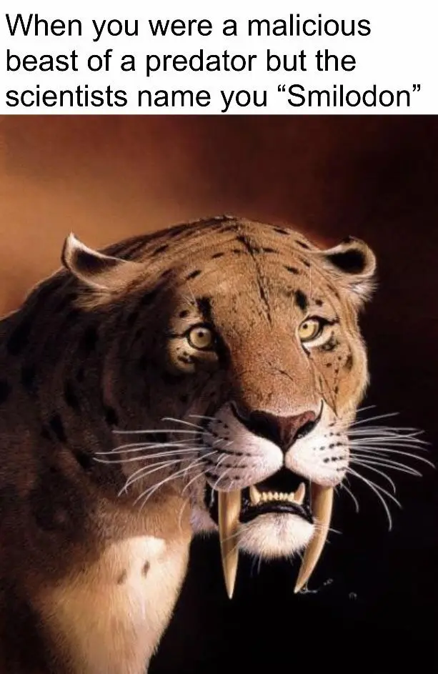 A close-up image of a saber-toothed cat, likely a Smilodon, with prominent curved fangs, intense yellow eyes, and spotted…