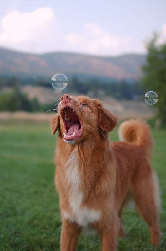 Just Too Cute to Handle!