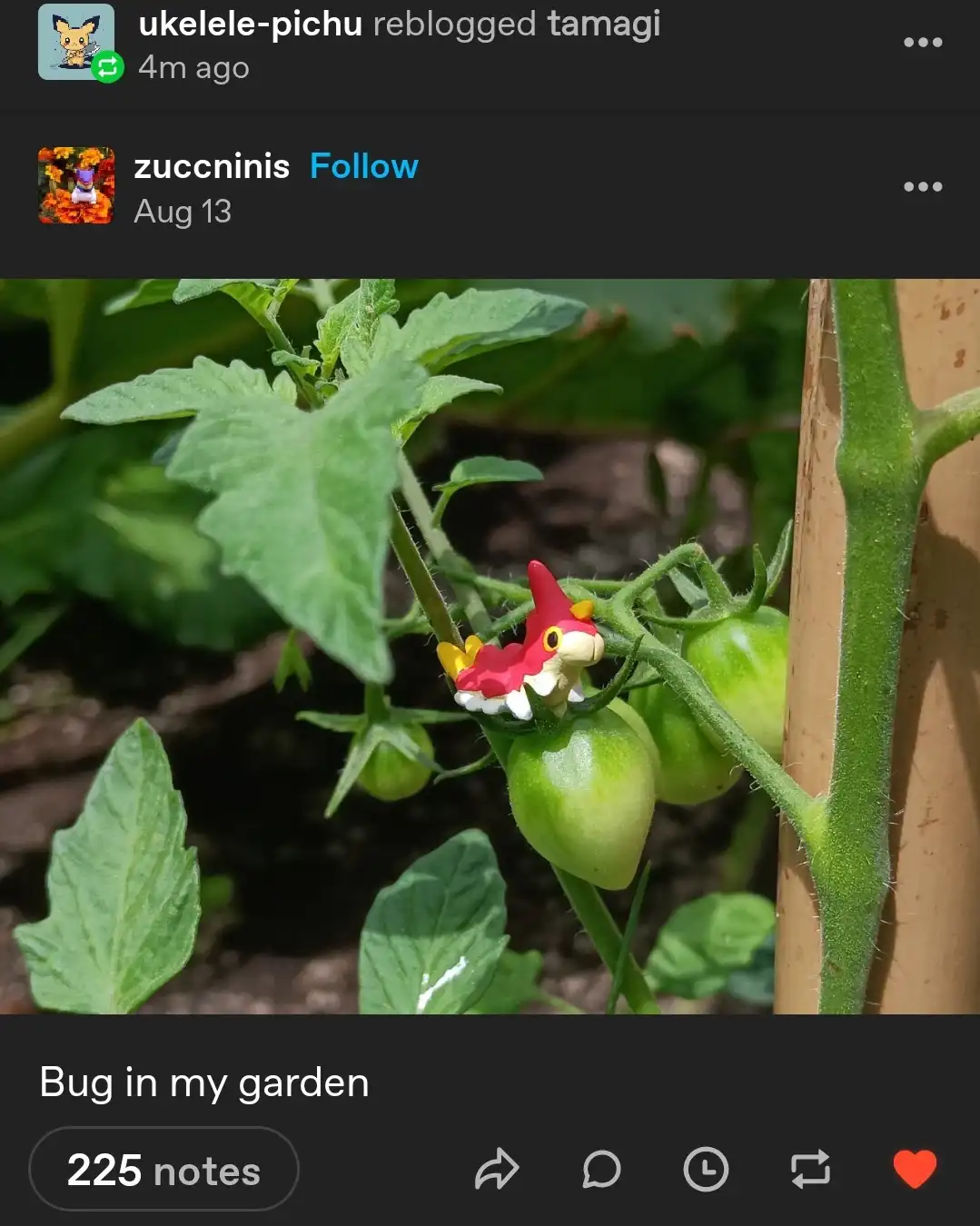 A close-up photo of a green tomato plant with small unripe tomatoes, where a small red and yellow toy caterpillar is perched…