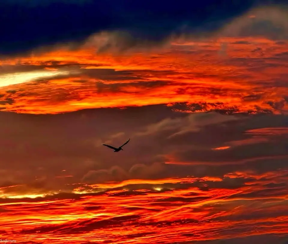 A dramatic sky filled with fiery orange and red clouds at sunset or sunrise, with a single bird silhouetted in flight…