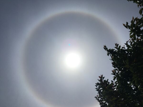 A bright sun is visible in a pale sky, surrounded by a faint, circular halo of light. The right side of the frame shows the…