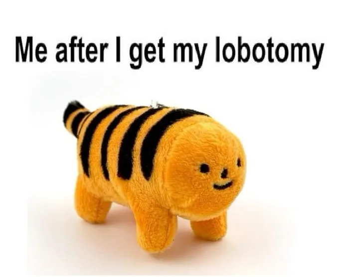 A plush toy resembling a tiger with a round, smiling face and black stripes stands against a plain white background. The…