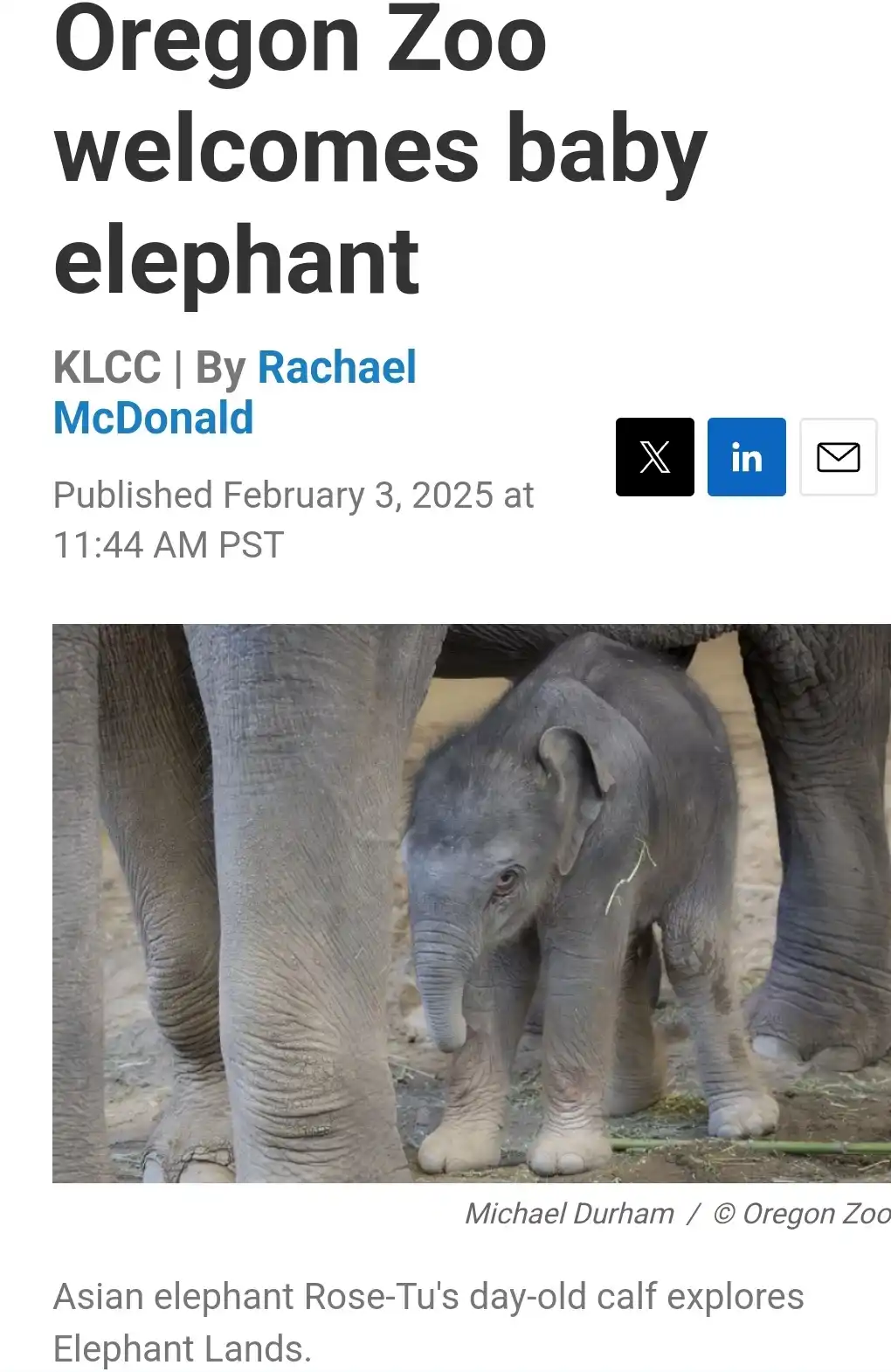 A news article screenshot shows a headline about the Oregon Zoo welcoming a baby elephant, with a photo of a tiny Asian…