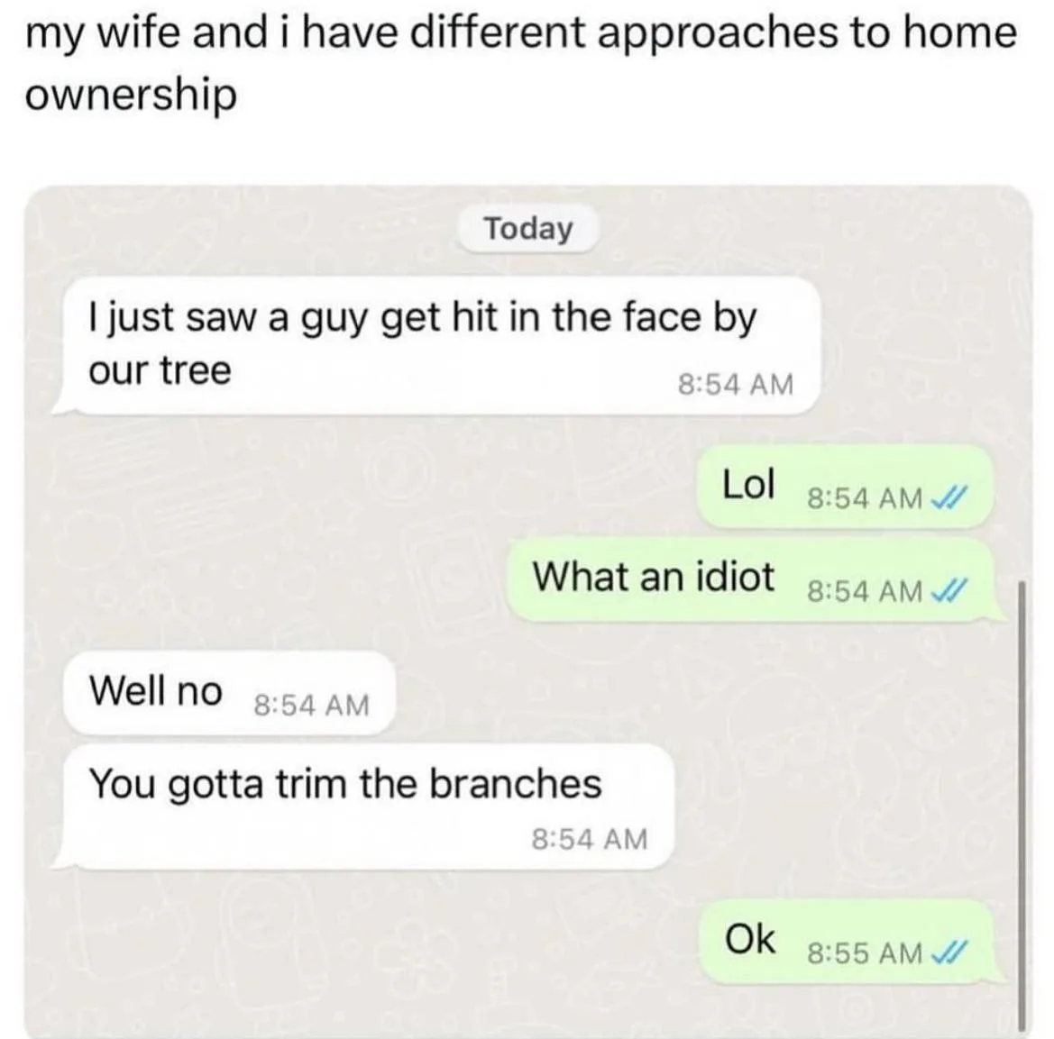 A screenshot of a WhatsApp chat shows a conversation where one person reports seeing a guy hit in the face by a tree, the…