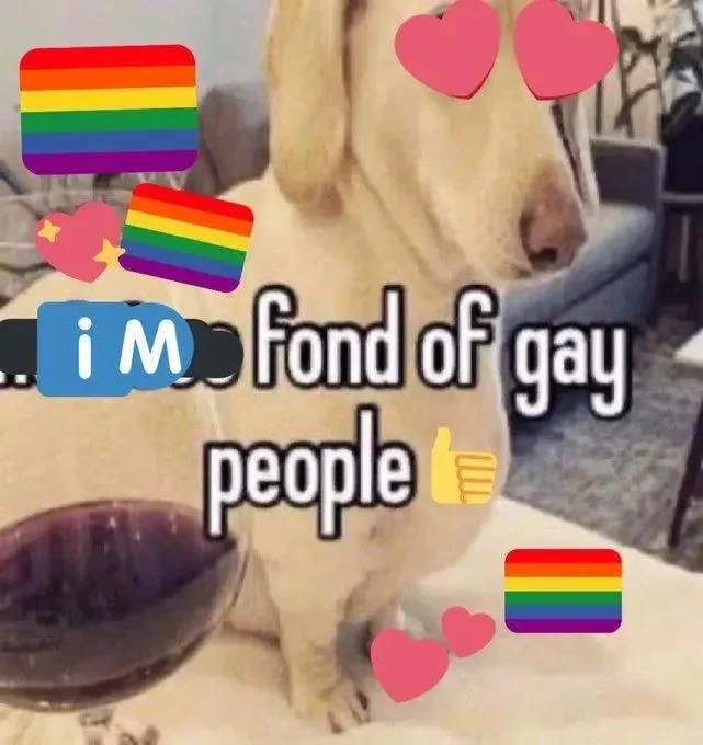 A light-colored dog sits calmly indoors, surrounded by rainbow pride flags and pink hearts. Overlaid text reads 'i M fond of…