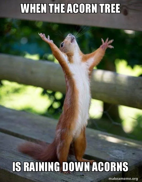 A red squirrel stands upright on a wooden bench with its arms raised in joyous celebration, looking upward. The overlaid…