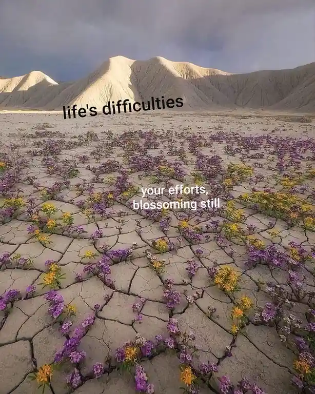 A cracked, arid desert landscape with purple and yellow flowers growing in the fissures, with mountains in the background…