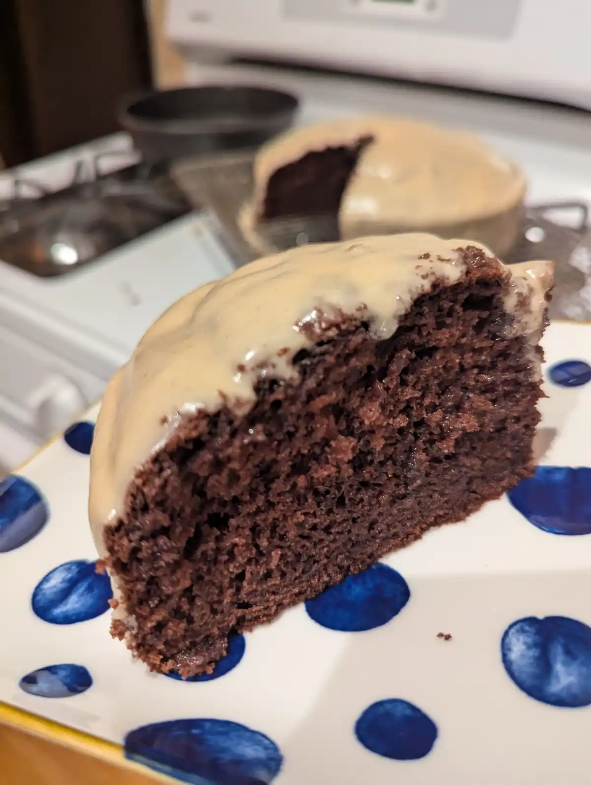 A close-up photo shows a slice of rich, dark chocolate cake with a thick, light-colored frosting on a white plate with blue…