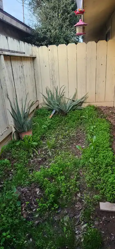 Welcome to My Cozy Little Backyard Oasis