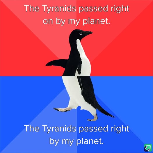 A black-and-white penguin stands centered against a red-and-blue background, split horizontally. The top half has white text…