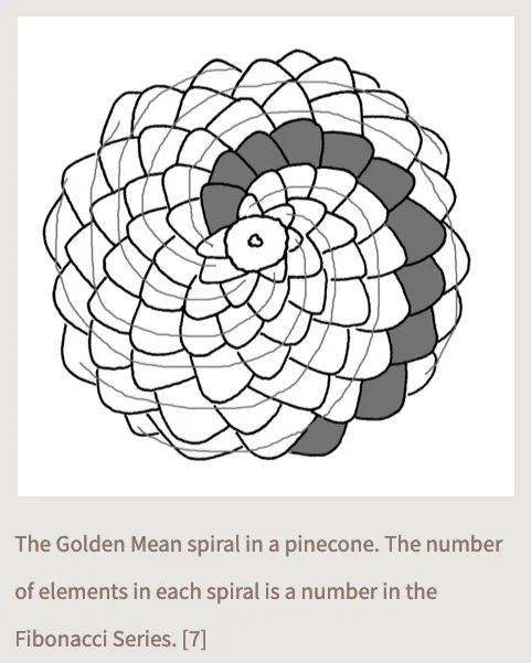 You can't top this Fibonacci corn reference!