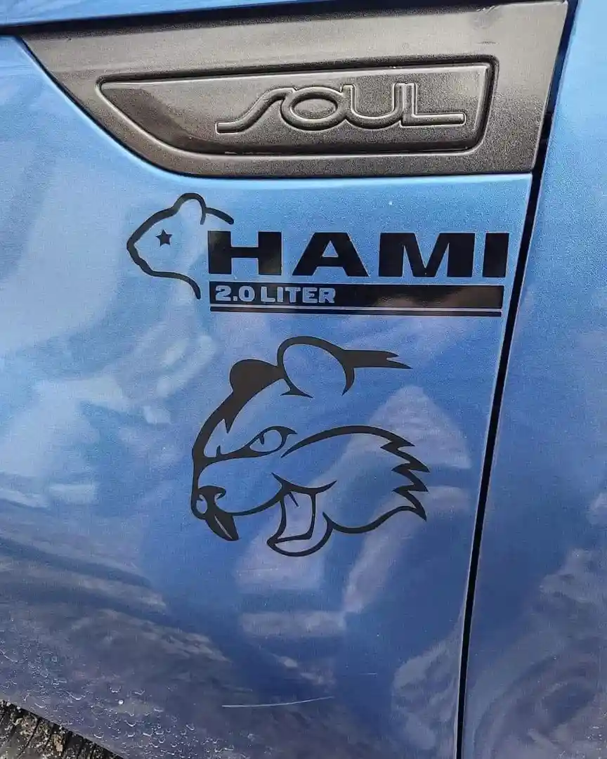 A close-up of a blue car door shows the 'SOUL' model name above two black decals: one is a guinea pig silhouette with a star…