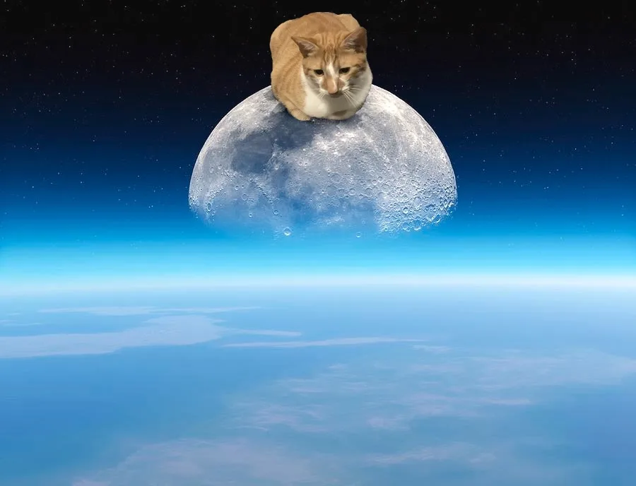 An orange tabby cat sits calmly atop a detailed, cratered moon, which hovers above Earth's blue atmosphere and clouds. The…