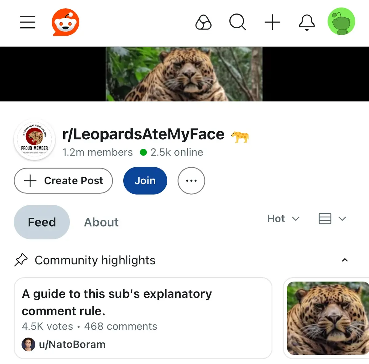 A screenshot of the Reddit page for r/LeopardsAteMyFace, showing its subreddit header with a leopard image, member count…