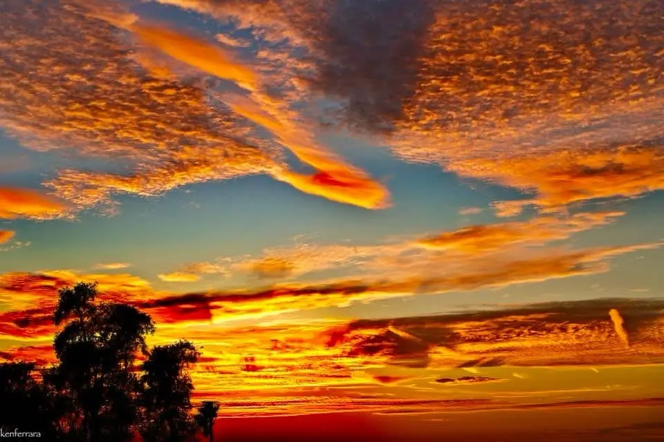 A vibrant, colorful sunset with orange, red, and blue clouds over a horizon, silhouetted trees in the foreground, and a…