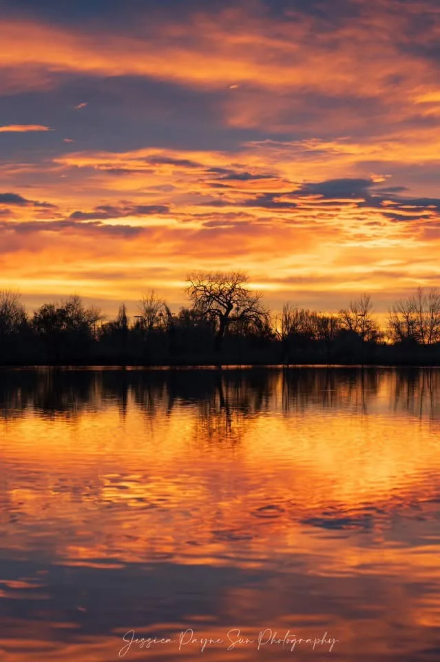 A serene sunset photograph shows vibrant orange and purple clouds reflected in calm water, with silhouetted trees along the…