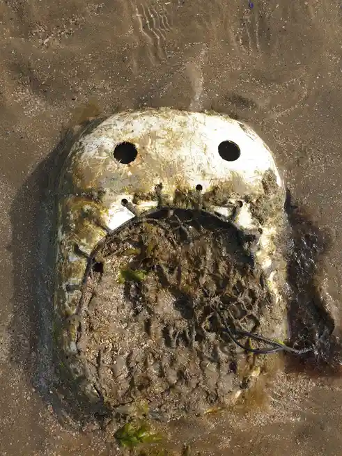 The Eccentric World of Salad Fingers