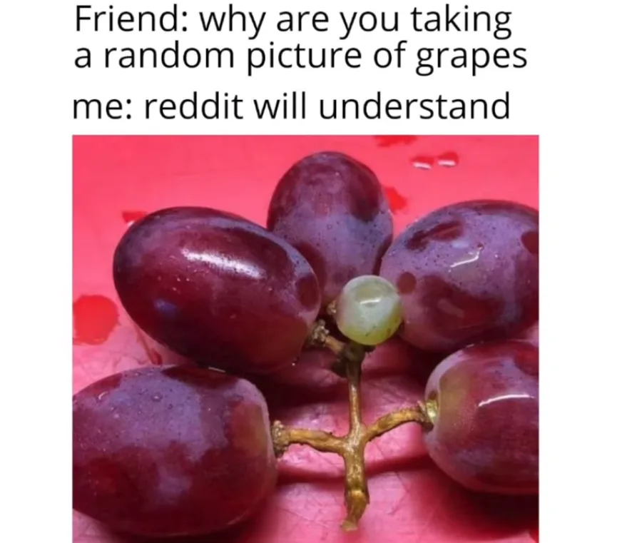 A close-up photo shows a cluster of dark purple grapes with one small green grape in the center, resting on a pink surface…