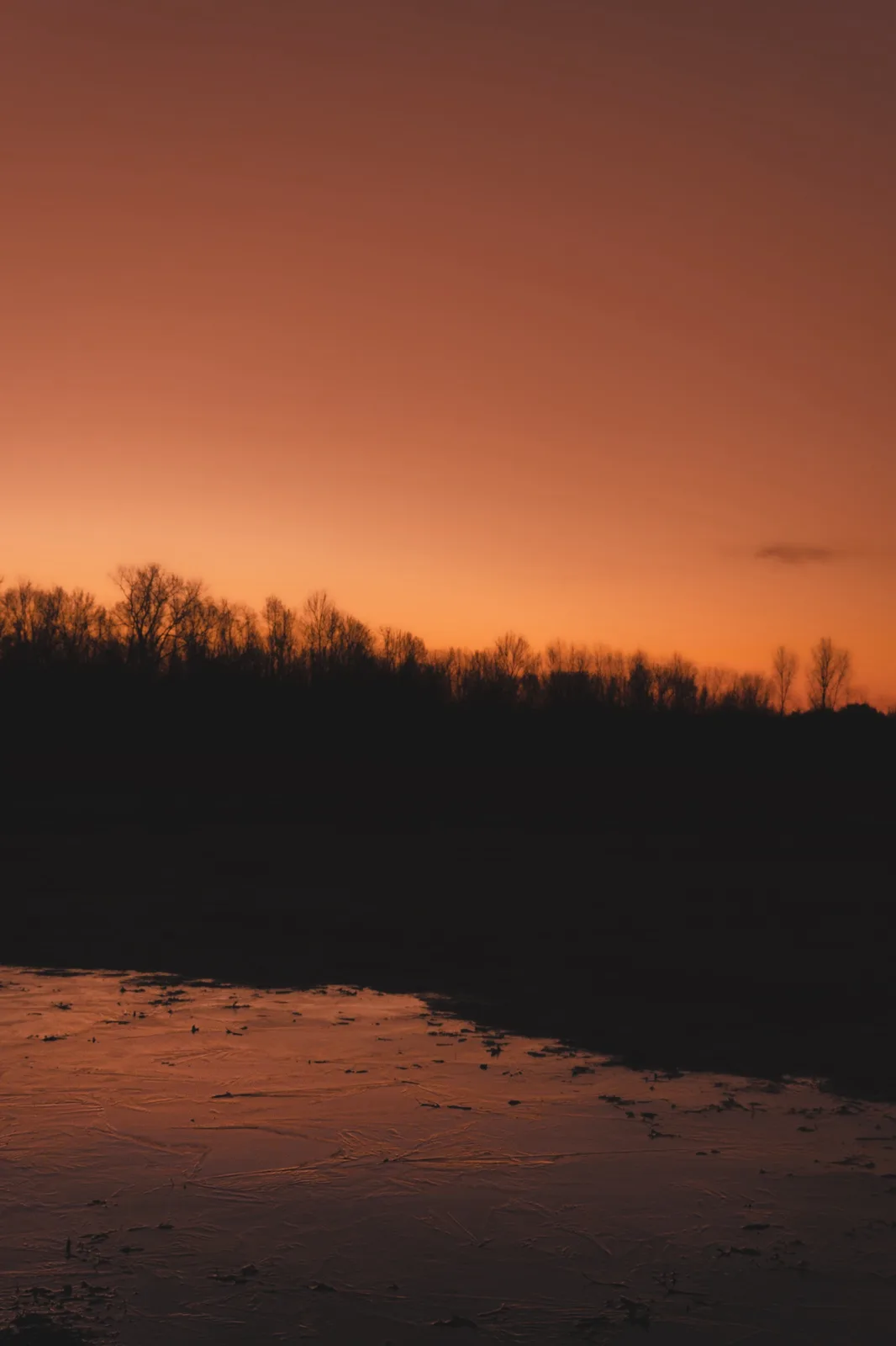 A serene sunset photo shows a dark silhouette of bare trees against a gradient orange sky, with a foreground of icy…