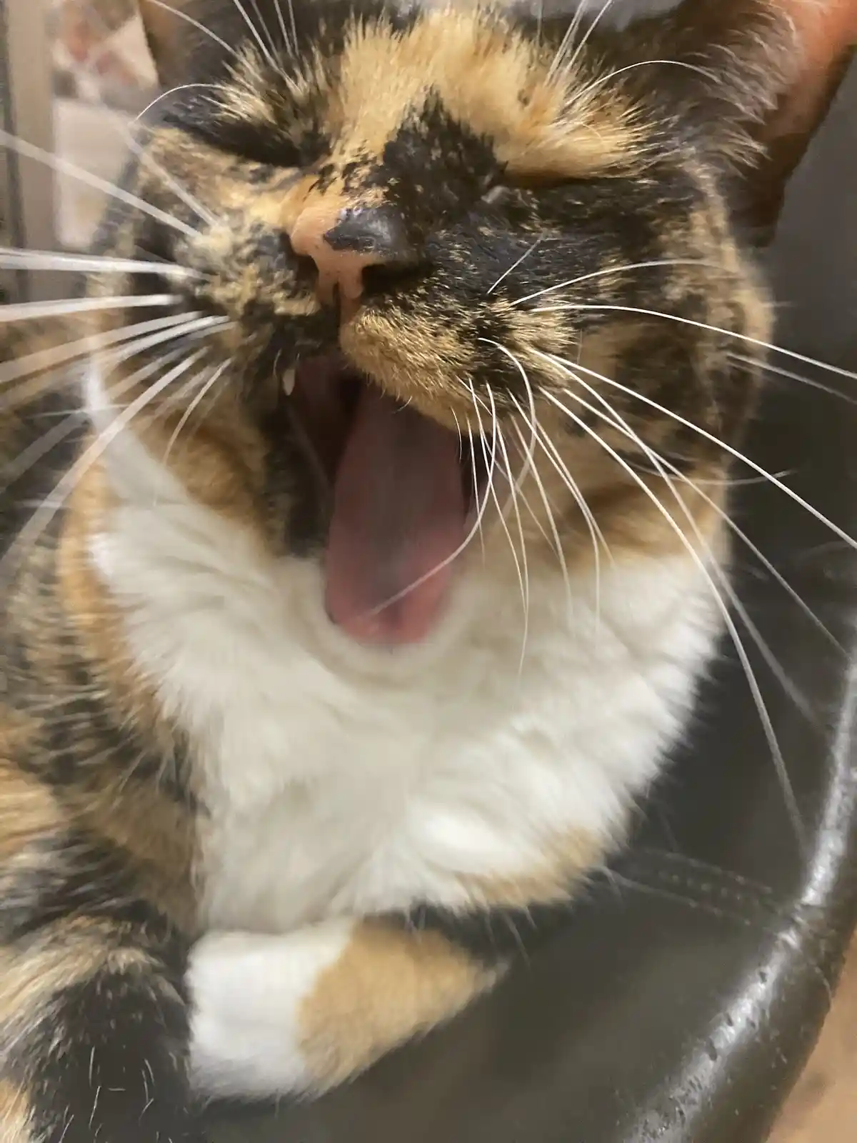 Crumble’s daily dose of cuteness