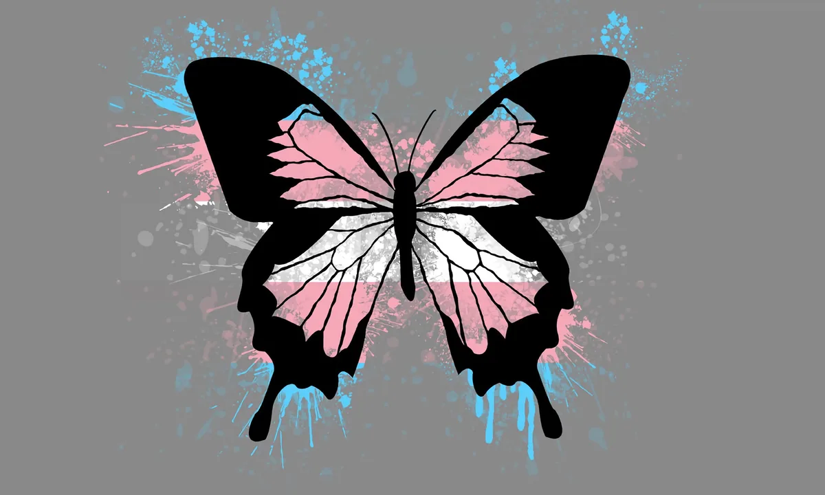 A black silhouette of a butterfly with its wings filled with the pink, white, and blue stripes of the transgender flag, set…